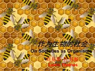 高中  语文  人教版 (新课标)  必修五《作为生物的社会》参考课件