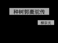 高中语文 人教版 (新课标) 选修《种树郭橐驼传》名校课件