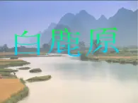 《白鹿原》名师课件