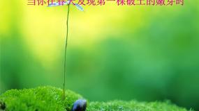 高中语文人教版 (新课标)必修二3 *囚绿记教学ppt课件