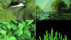 人教版 (新课标)必修二第一单元3 *囚绿记教学演示ppt课件