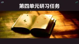 人教统编版高中语文 选择性必修中册《第四单元丰富的心灵研习任务》精品课件