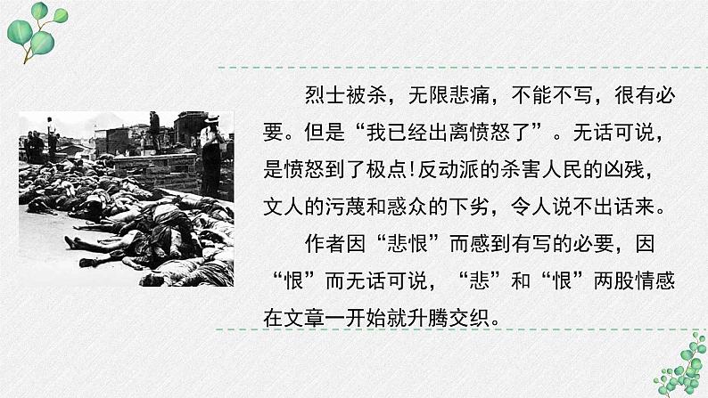 人教统编版高中语文 选择性必修中册第二单元 6《记念刘和珍君》名师教学课件(第2课时)第6页