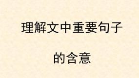 高中 语文 人教版 (新课标)  必修五 考点对接：理解文中重要句子的含意  课件