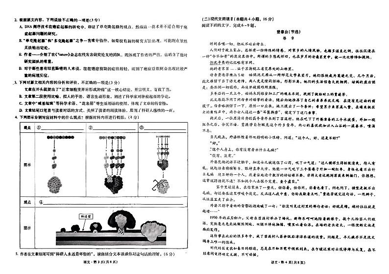 云南省昆明市第一中学2024-2025学年高三上学期第五次联考语文试题(PDF版附答案)第2页