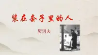 语文人教统编版13.2* 装在套子里的人教课内容课件ppt