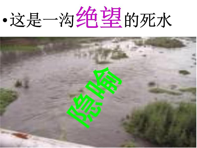 语文版高中 语文必修一 2-5*《死水》参考课件4第6页