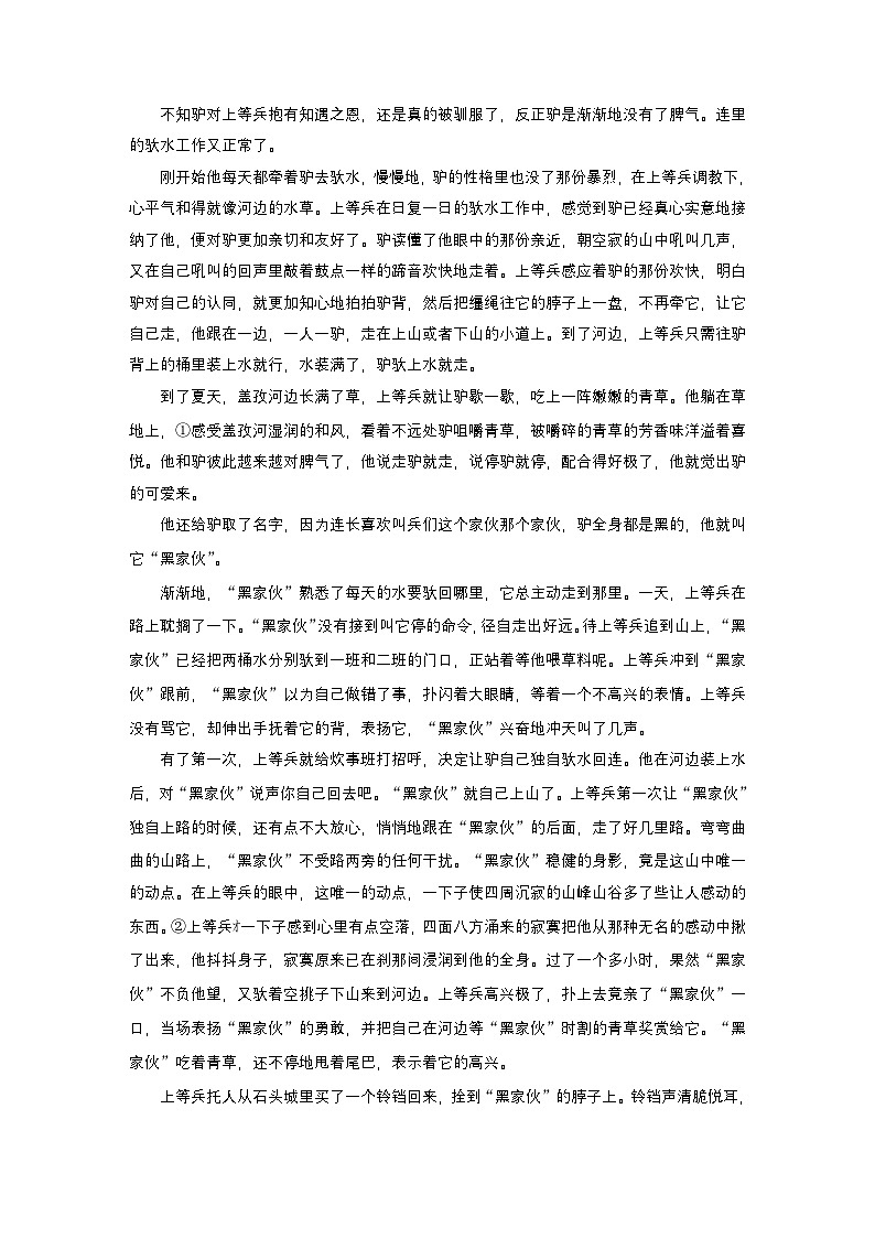 训练任务群三 对点练案13 解答文学类文本“评论—文本”互证题--2025语文步步高大二轮专题复习(练案)第2页
