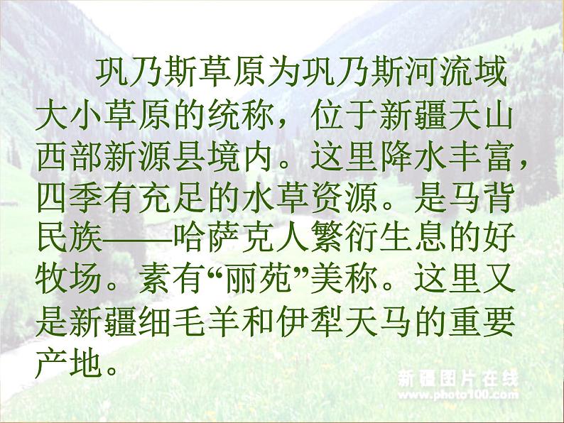 语文版 高中语文必修二 3-12*《巩乃斯的马》参考课件2第4页