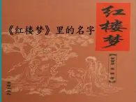 高中语文人教版 (新课标) 必修四梳理探究《名著导读〈红楼梦〉》精品课件（《红楼梦》中的名字）