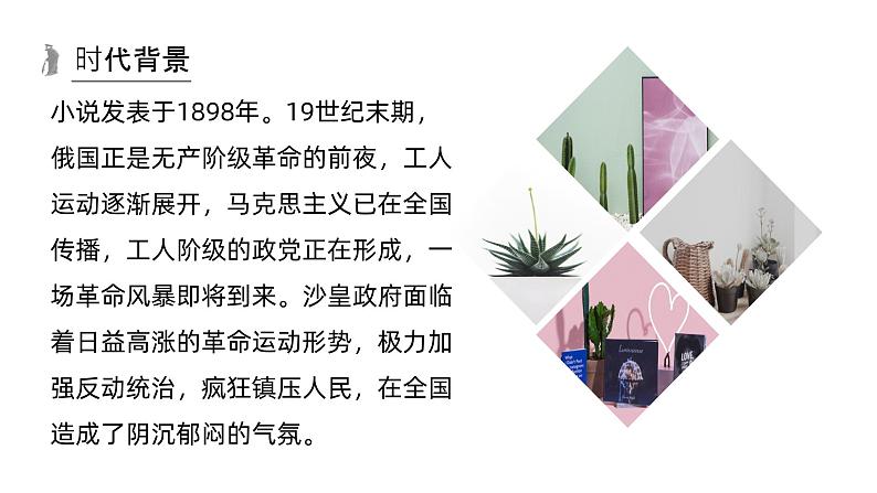 第13课 装在套子里的人-2024-2025学年高中语文下册教学课件(部编版必修下册)第5页