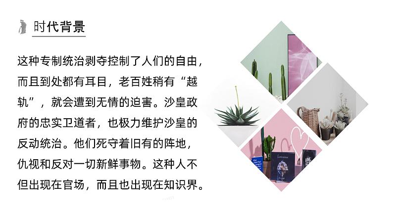 第13课 装在套子里的人-2024-2025学年高中语文下册教学课件(部编版必修下册)第6页