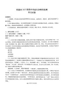 云南省昭通市2025届高三上学期期末语文试卷及答案