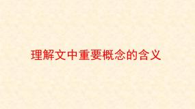高中 语文 人教版 (新课标)  必修五 理解文中重要概念的含义  课件