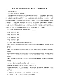 天津市河北區(qū)2024-2025學(xué)年高三（上）期末語(yǔ)文試卷