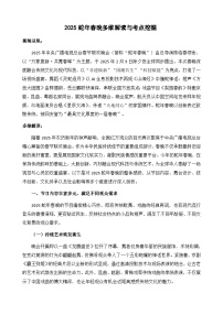 2025蛇年春晚多維解讀與考點挖掘-備戰(zhàn)2025年高考語文寫作技巧實戰(zhàn)分析與素材運用講練（全國通用）