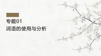 考點(diǎn)01 詞語的使用和分析-2025年高考語文一輪復(fù)習(xí)語言文字運(yùn)用系列課件