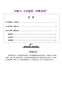 专题21 古诗鉴赏（诗歌语言）讲义-2025年高考语文二轮复习讲练（北京专用）