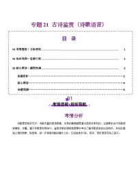 专题21 古诗鉴赏（诗歌语言）讲义-2025年高考语文二轮复习讲练（北京专用）