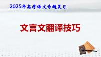 2025年高考语文专题复习:《文言文翻译技巧》课件