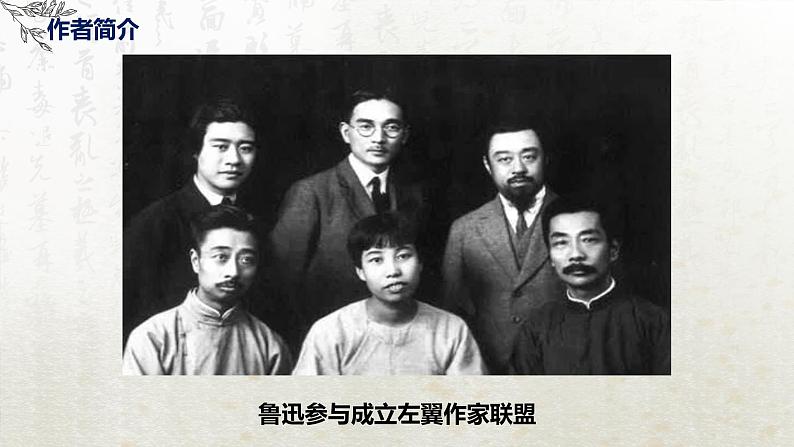 12 祝福 第一课时(教学课件)-高中语文人教统编版必修下册第6页