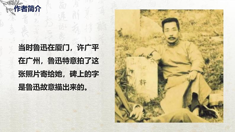 12 祝福 第一课时(教学课件)-高中语文人教统编版必修下册第7页