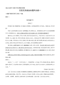 專(zhuān)題09 2025高考文言文閱讀綜合提升訓(xùn)練（一）--2025年高考語(yǔ)文文言文閱讀（全國(guó)通用）