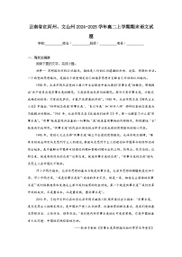 云南省红河州、文山州2024-2025学年高二上学期期末语文试题