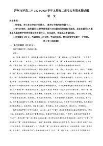 四川省泸州市泸县二中2024-2025学年高二上学期期末语文试题（原卷版+解析版）