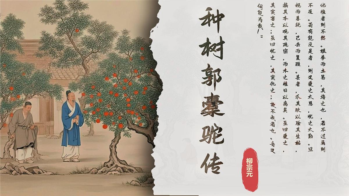 11《种树郭橐驼传》课件-2024-2025学年高二语文同步备课精选课件(统编版选择性必修下册)第1页