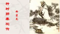 高中语文人教统编版选择性必修 下册11 *种树郭橐驼传教课ppt课件