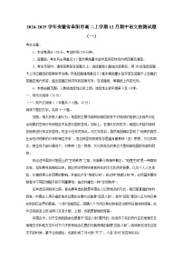 2024-2025學年安徽省阜陽市高二上冊12月期中語文檢測試題合集2套（含解析）