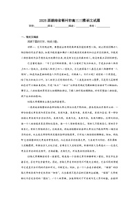 2025届湖南省郴州市高三三模语文试题（附答案解析）