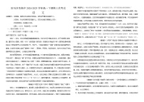 河南省駐馬店市高級(jí)中學(xué)2024-2025學(xué)年高一下學(xué)期第三次月考語(yǔ)文試題（含解析）