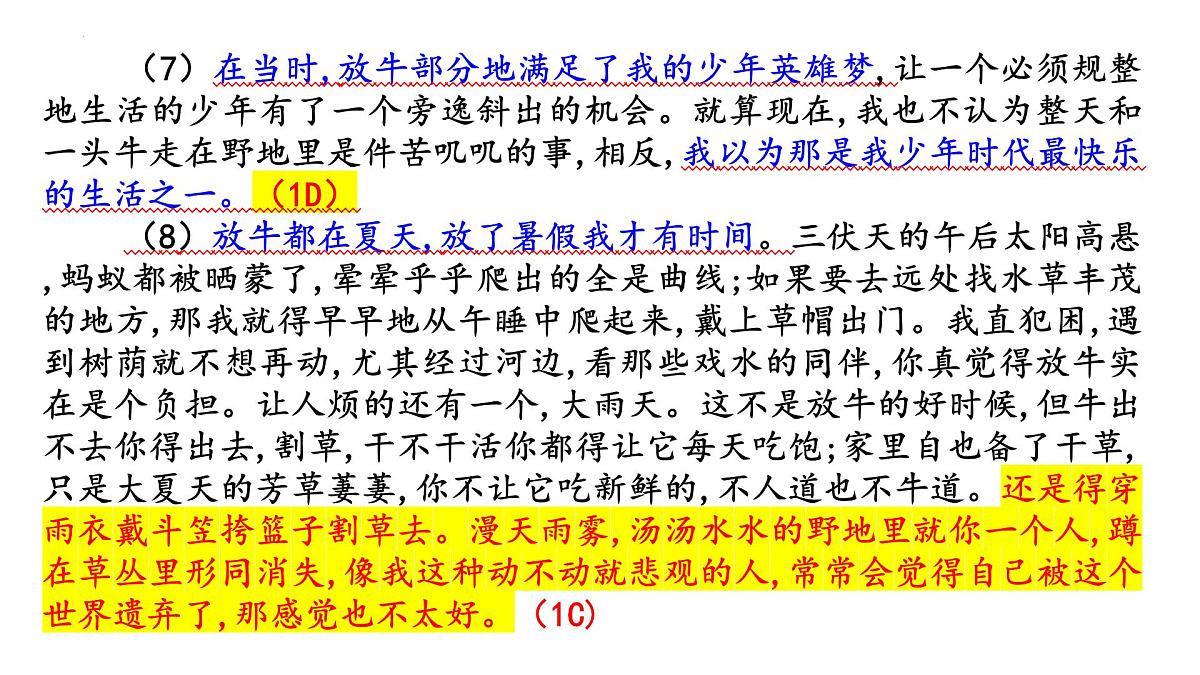 专题三 文学类散文阅读总复习(课件)-2025年高考语文总复习专题精讲课件(全国通用)第8页