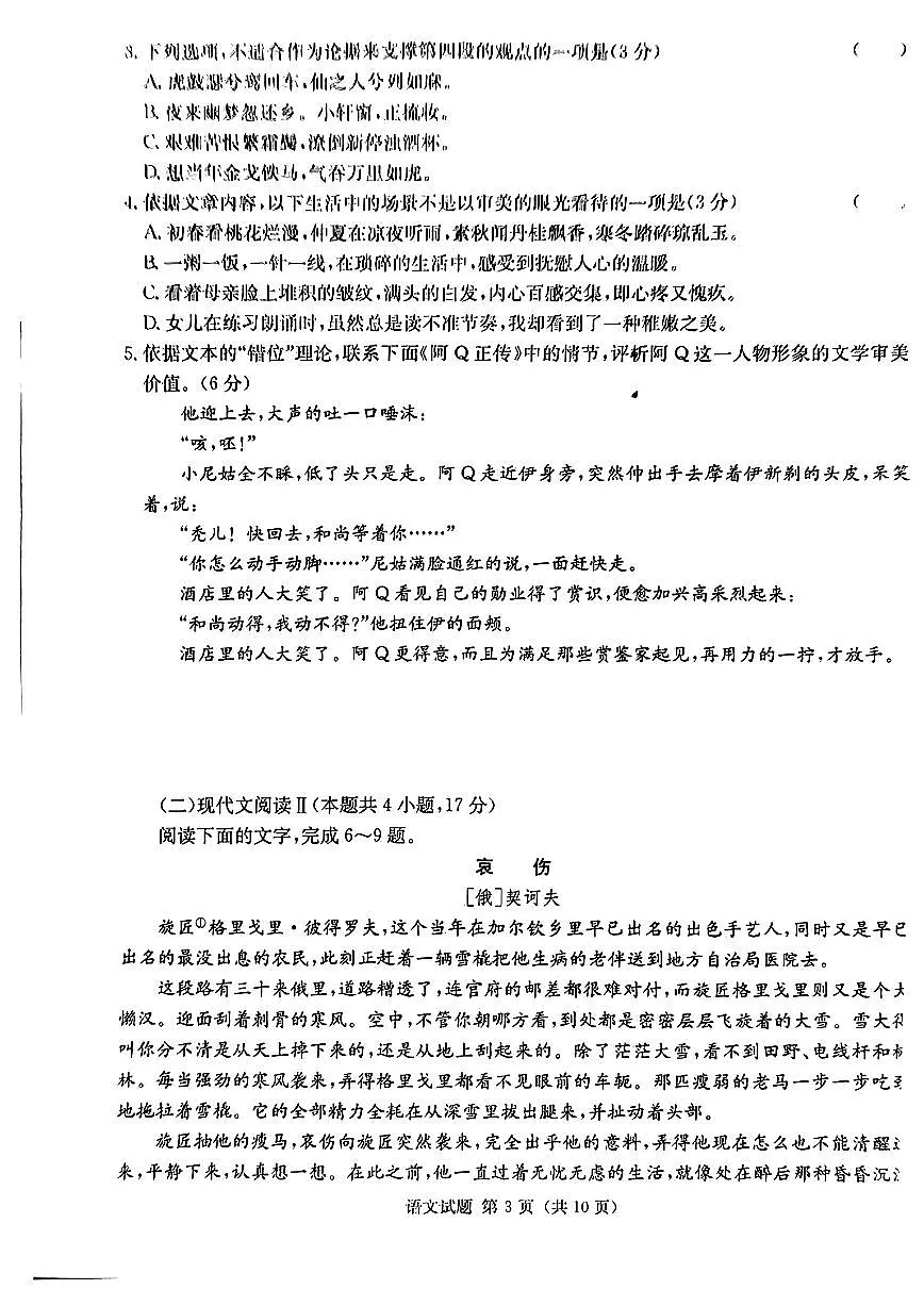2024届湖南省九校联盟高三下学期第二次联考-语文试卷(含答案)第3页