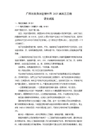 广西壮族自治区柳州市2025届高三三模语文试卷（解析版）