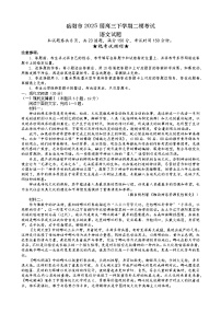 湖南省岳阳市2025届高三下学期高考二模语文试题（含答案）
