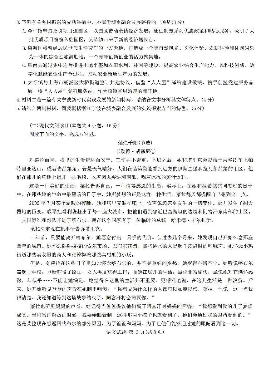 安徽省江淮十校2025届高三高考模拟第三次联考-语文试题+答案第3页