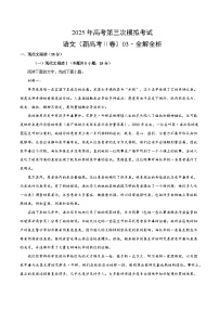 2025年高考第三次模拟考试：语文（新高考Ⅱ卷03）（解析版）