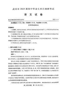 语文丨湖北省武汉市2025届高三下学期4月调研考试（武汉四调）语文试卷及答案