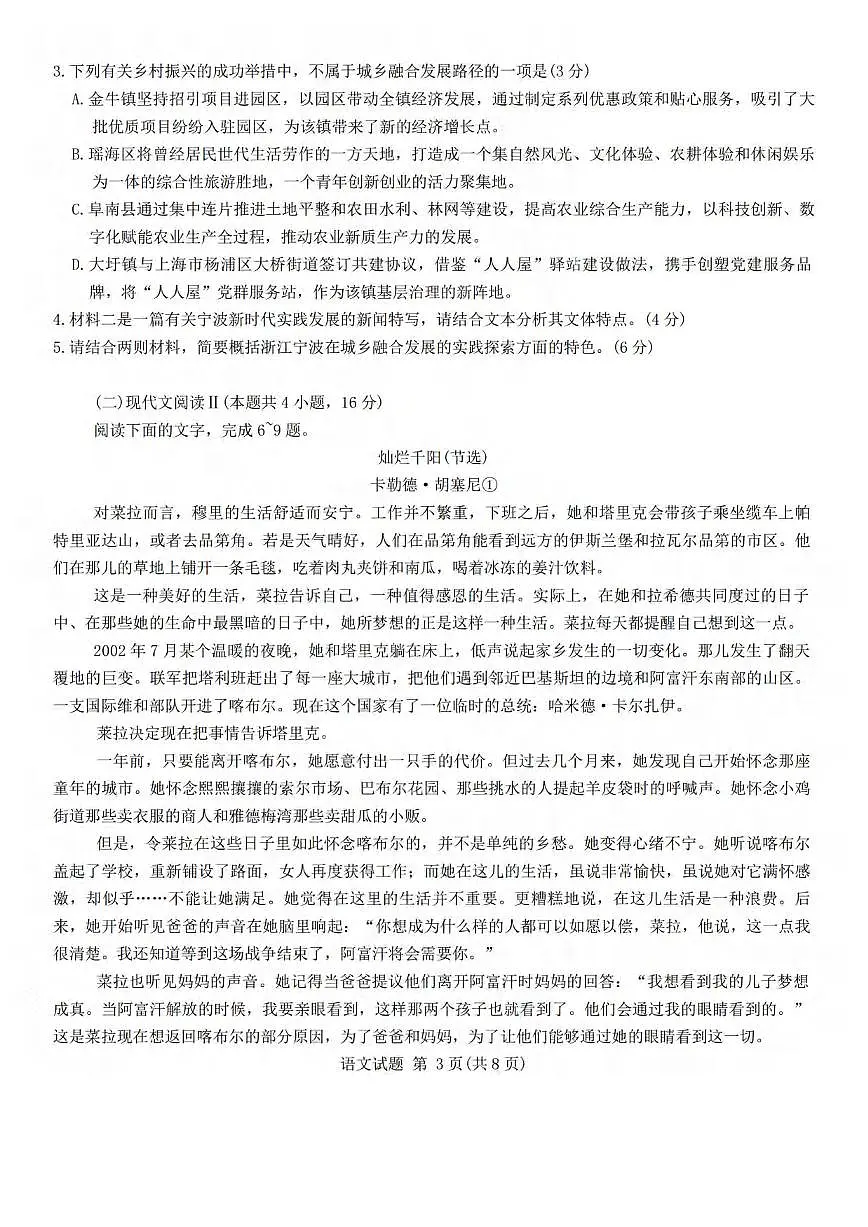 语文丨江淮十校安徽省2025届高三下学期4月第三次联考语文试卷及答案第3页