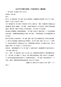 2025年天津市寶坻一中高考語文一模試卷(含詳細(xì)答案解析)