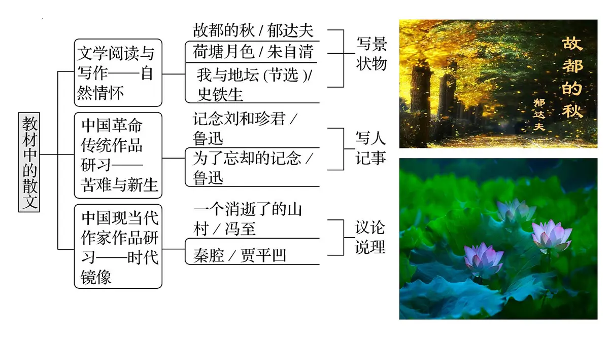 2025届高考语文复习:散文读文指导 课件第5页