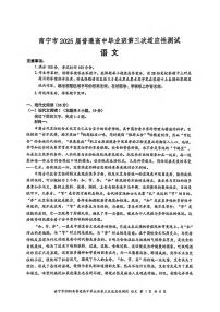 语文丨广西南宁市2025届高三下学期第三次适应性（南宁三模）测试语文试卷及答案