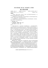 湖北省新八校协作体2025年5月高三联考语文试卷含答案