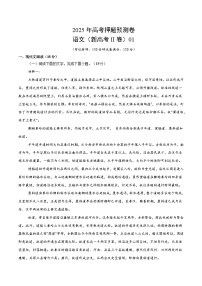 2025年高考押题预测卷：语文（新高考II卷01）（考试版）