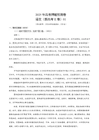 2025年高考押题预测卷:语文(新高考II卷01)(考试版)