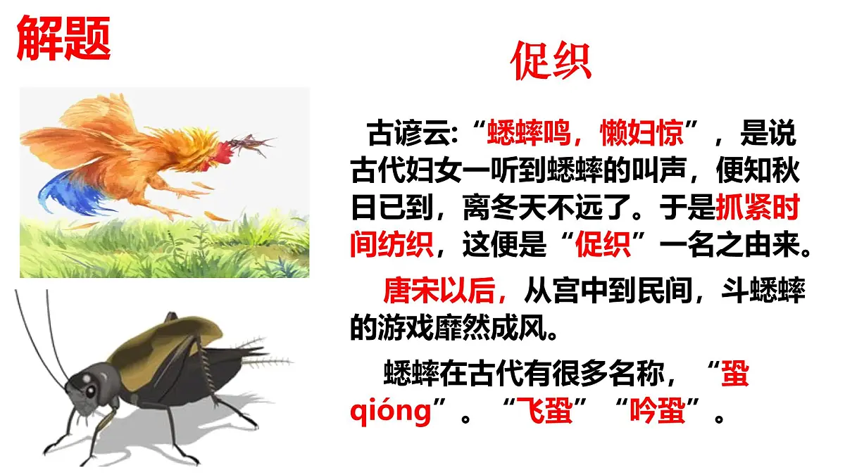 高中语文统编版必修下册14.1《促织》课件第5页