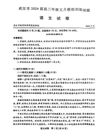 2024届湖北省武汉市高三下学期五月模拟训练语文试卷（含答案）